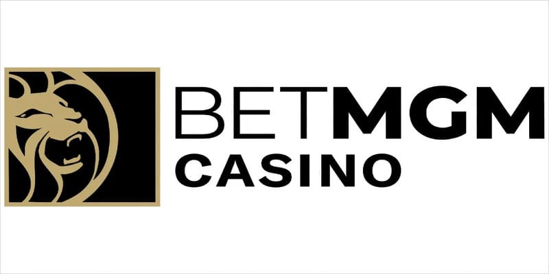 Overview of betmgm casino